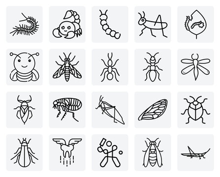 Common Pests And Crawling Insects &ndash; Fleas, Termites, Stink Bugs, And Scorpions For Pest Control And Extermination Visuals