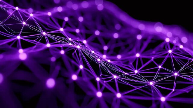 Purple network connections