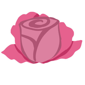 Pink rose hand drawn cartoon illustration