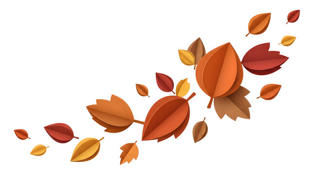 autumn leaves on white background