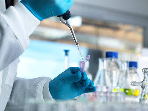 Scientist pipetting a DNA sample into a eppendorf tube for genetic testing in a laboratory