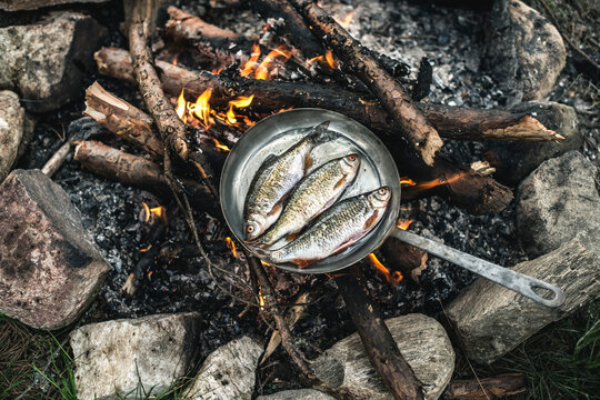 Rudd frying in a pan at camp fire