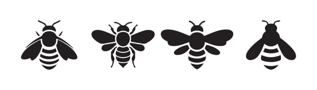 Collection of four black bee silhouettes as insect icons with honeybee bumblebee silhouette wildlife pollinator collection isolated illustration creature creative environment