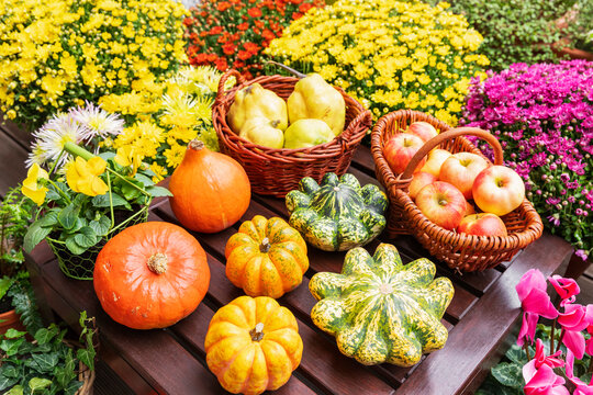 Autumn harvest of fresh pumpkin apple and quince on a balcony