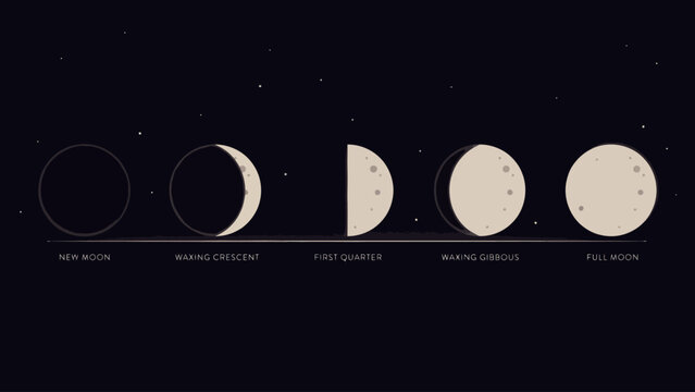 Lunar phases illustration depicts new moon waxing crescent first quarter waxing gibbous and full moon moon cycle crescent waning