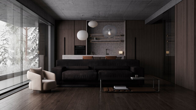 Dark modern living room and kitchen interior with winter forest view