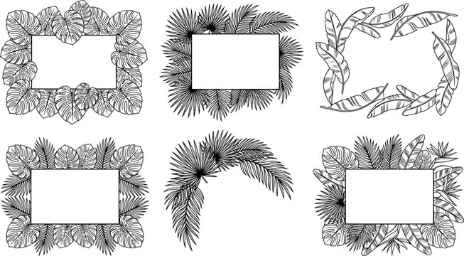 Set of tropical leaf frames, hand drawn botanical borders with monstera and palm leaves transparent background