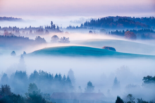 Germany, Bavaria, Pfaffenwinkel, Aidling, Aidlinger Hoehe, morning fog