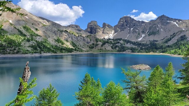 allos