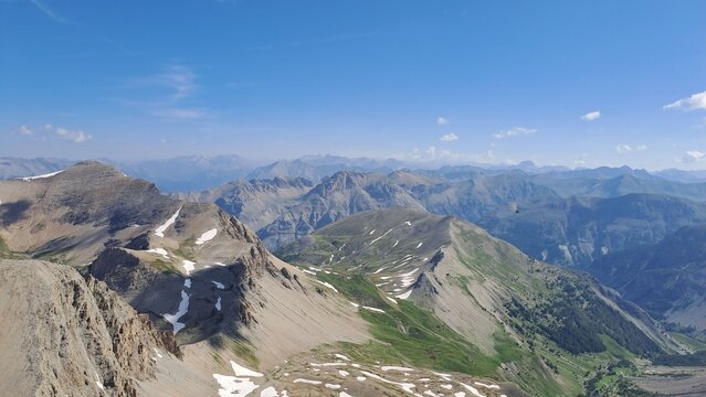 allos