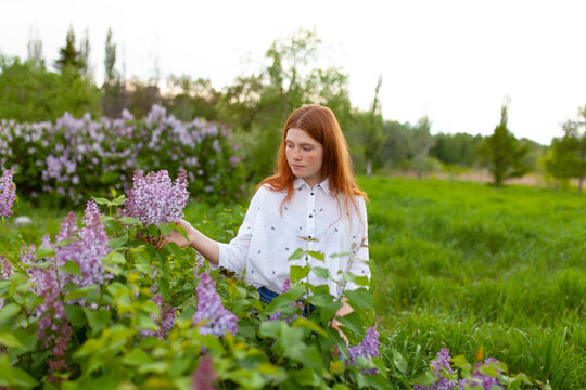 Female with red hair touches lilac blossom in a summer garden