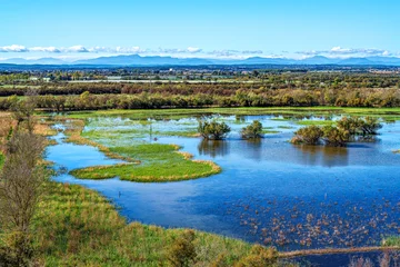 A beautiful bright day at the Parc Natural dels Aiguamolls de l'Emporda in Catalonia, Spain © rudiernst