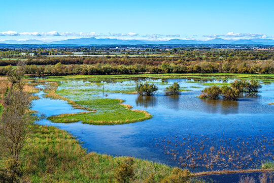 A beautiful bright day at the Parc Natural dels Aiguamolls de l'Emporda in Catalonia, Spain