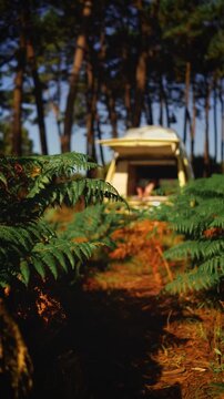Woman Relaxing in Open Vintage Campervan in Pine Forest &ndash; Van Life Lifestyle