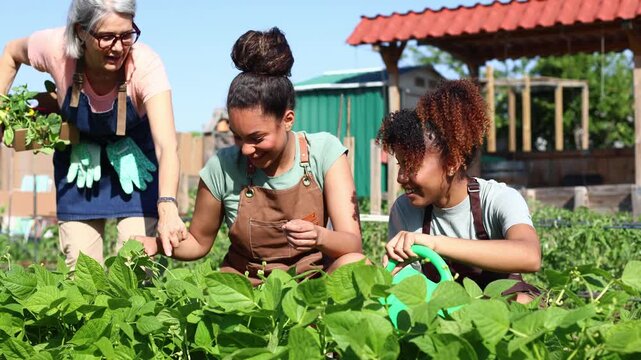 Three generations of women cultivating community vegetable garden