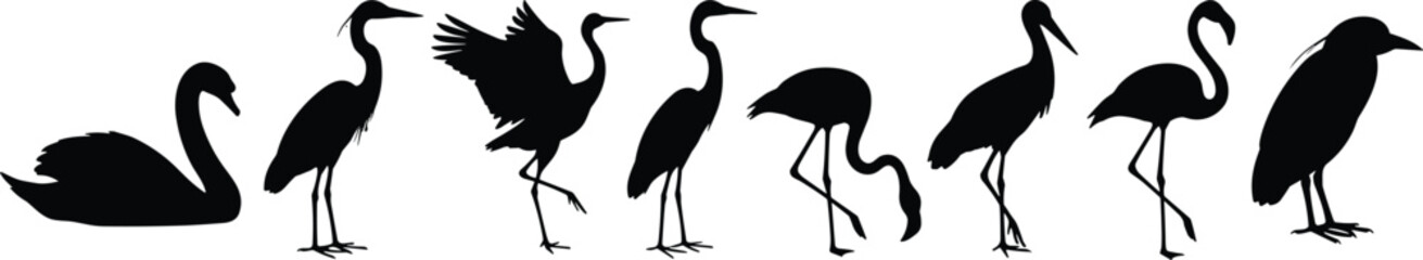 Fototapeta premium Water Bird Silhouette Collection Featuring Swan Heron Crane Flamingo and Crow Vector Set