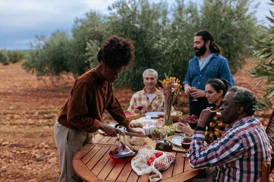 Diverse friends enjoying outdoor dinner party in olive grove