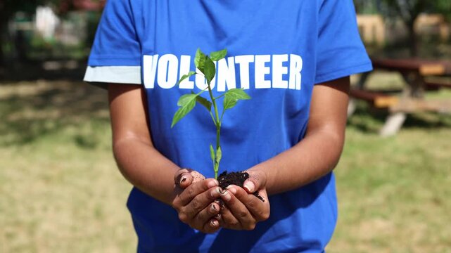 Volunteer holding young plant for reforestation project