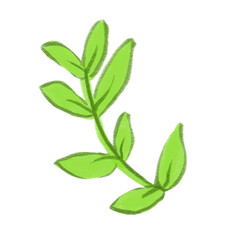 Fototapeta premium fresh green leaves illustration