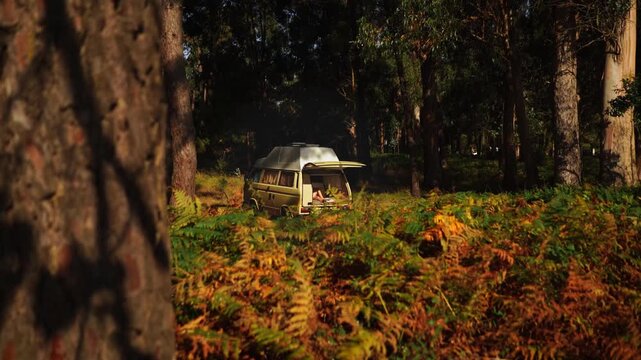 Campervan Hidden in Autumn Fern Forest at Golden Hour &ndash; Wild Camping
