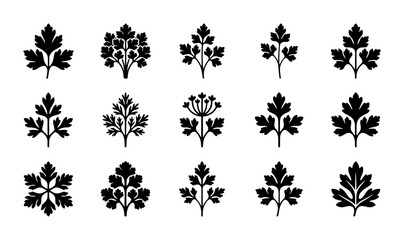 Parsley Leaf Icons, Fresh Herb Vector Graphics, Culinary Ingredient Vector Set, Organic Food Design Elements © Mim