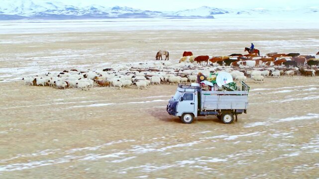Nomadic shepherds moving their livestock and belongings by truck across a vast, snowy landscape