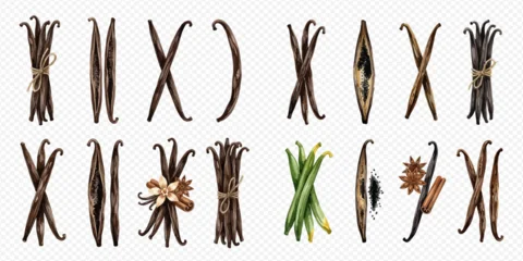 Set of vanilla pods and beans, some tied with string, some open, and some with flowers and spices. © Ytaja