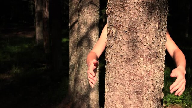 Person hugging tree trunk in sunlit conifer woodland, arms wrapped around coarse bark with hands pressed close, showing tactile contact, forest texture, natural warmth, and serene outdoor mood