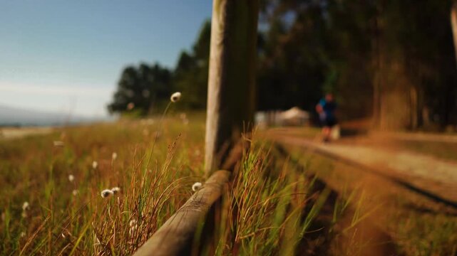 Rustic Wooden Fence Along Coastal Path with Sea View &ndash; Summer Travel Mood