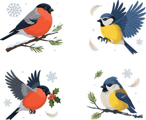 Winter Birds Vector Set Featuring Bullfinch and Eurasian Blue Tit on Snowy Branches with Snowflakes and Holly Berries for Christmas Nature Illustrations © MstAkhlima