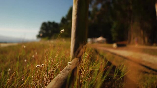 Rustic Wooden Fence Along Coastal Path with Sea View &ndash; Summer Travel Mood