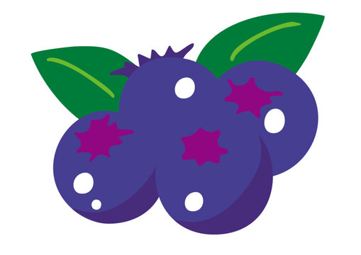 かわいいブルーベリーのイラスト
