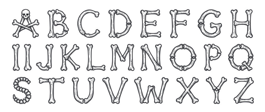 Anatomical human bone alphabet letters with skull and vertebrae