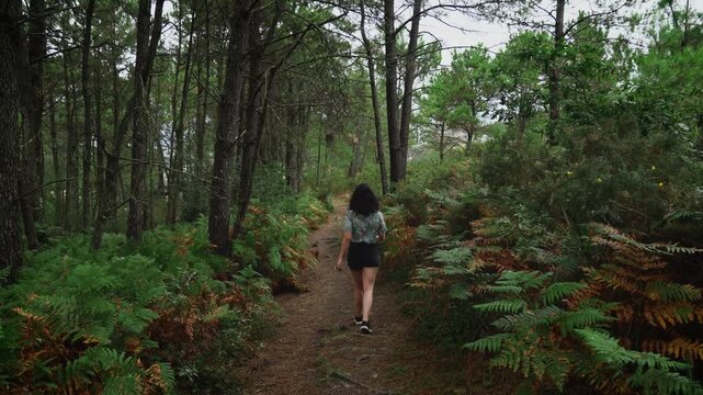 Young Woman Hiking Alone on Forest Trail Surrounded by Ferns and Pine Trees