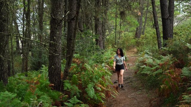 Young Woman Hiking Alone on Forest Trail Surrounded by Ferns and Pine Trees