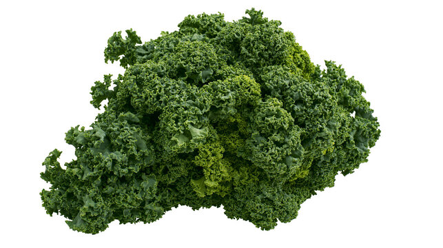 Fresh green curly kale leaves, healthy vegetable isolated on transparent background