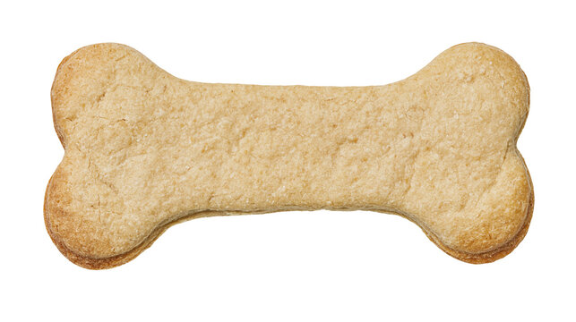 Single bone-shaped dog biscuit with textured surface, isolated on transparent background