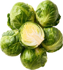 Obraz premium Brussels sprout