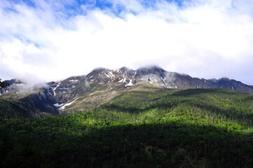 Fototapeta premium Mountain peak covered with snow and surrounded by green forests