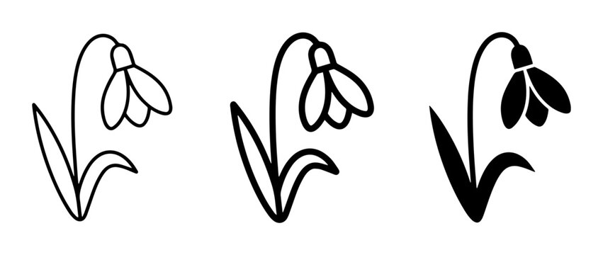 Snowdrop Flower Icons, Simple Line Art and Silhouette Designs for Spring