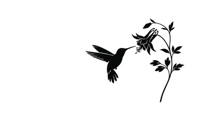 Fototapeta premium Hummingbird silhouette flying feeding on colorful flower branch in mid-air with leaves and petals
