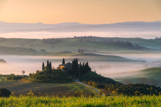 A soft golden sunrise bathes the Belvedere farmhouse and its cypresses, half-submerged in rolling white morning mist across multiple layered green hills. Val d'Orcia, Tuscany, Italy.