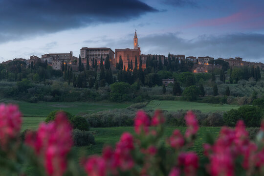 The illuminated hilltop town of Pienza glows at blue hour, its cathedral bell tower rising above cypresses, blurred magenta flowers in the foreground. Pienza, Val d'Orcia, Italy.