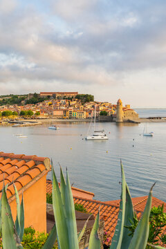 Looking towards The Church of Notre Dame des Anges, Port Coullioure, Collioure, Occitania, France