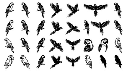 Tropical parrot silhouette icons set featuring perched macaw birds flying exotic wildlife creatures and detailed tribal tattoo style elements © AlviAhmed