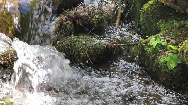 Mountain stream.