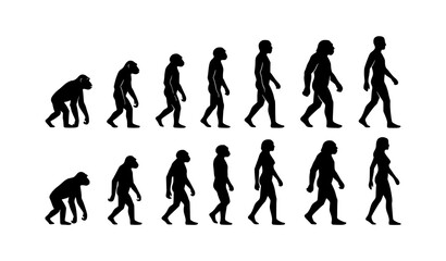 Male And Female Human Evolution Silhouette Black Vector Illustration © MdSadhon