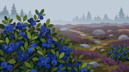 Obraz premium Wild blueberry bushes laden with deep blue fruit on a misty moorland, rolling heather hills, pine silhouettes and scattered stones in a serene botanical vector landscape for natural food packaging