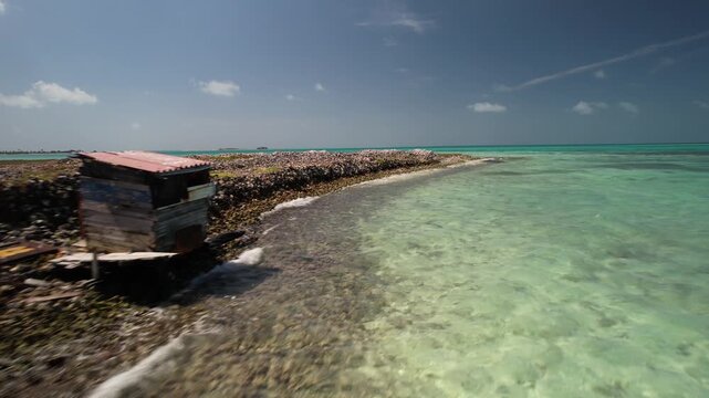 Scenic Caribbean coastal landscape featuring a rustic wooden fisherman's shack built beside a quenn conch shells shoreline surrounded by crystal-clear turquoise waters