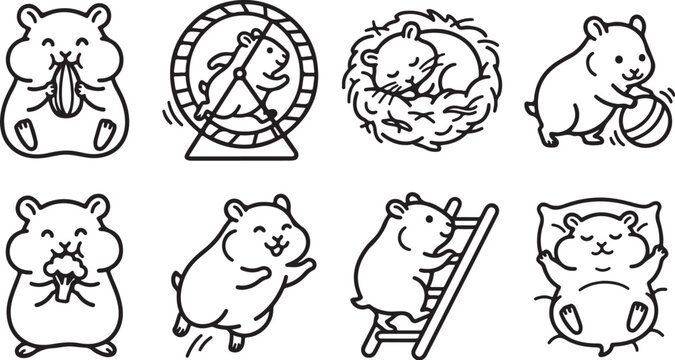 Cute hamsters in various fun activities